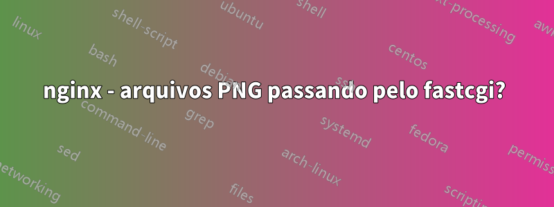 nginx - arquivos PNG passando pelo fastcgi?