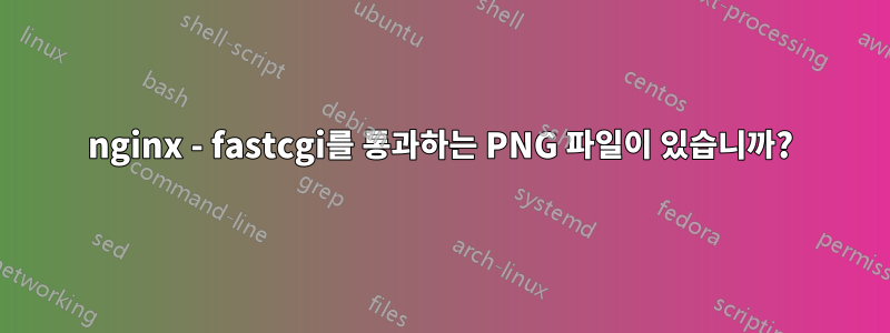 nginx - fastcgi를 통과하는 PNG 파일이 있습니까?