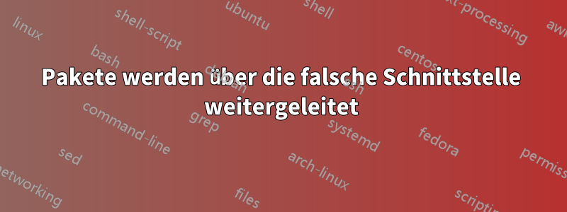 Pakete werden über die falsche Schnittstelle weitergeleitet