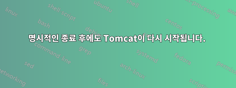 명시적인 종료 후에도 Tomcat이 다시 시작됩니다.