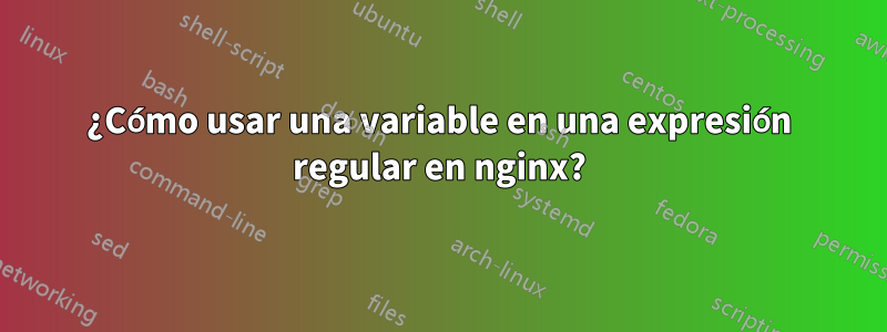 ¿Cómo usar una variable en una expresión regular en nginx?