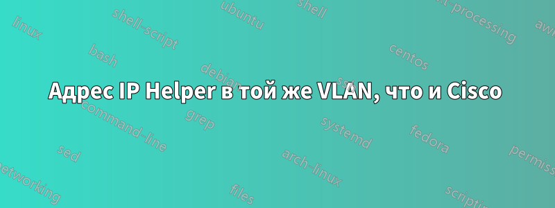 Адрес IP Helper в той же VLAN, что и Cisco