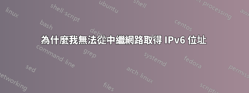 為什麼我無法從中繼網路取得 IPv6 位址