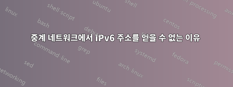 중계 네트워크에서 IPv6 주소를 얻을 수 없는 이유