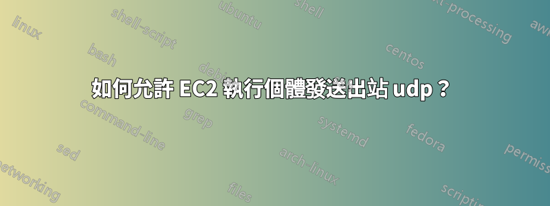 如何允許 EC2 執行個體發送出站 udp？