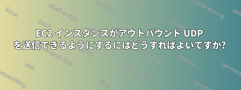 EC2 インスタンスがアウトバウンド UDP を送信できるようにするにはどうすればよいですか?