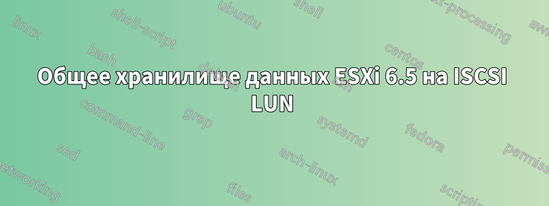 Общее хранилище данных ESXi 6.5 на ISCSI LUN