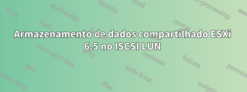 Armazenamento de dados compartilhado ESXi 6.5 no ISCSI LUN