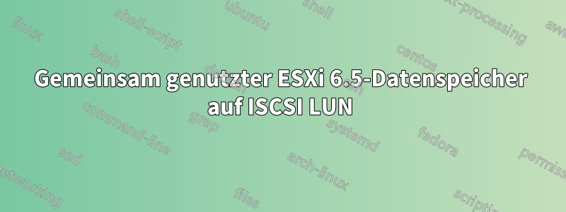 Gemeinsam genutzter ESXi 6.5-Datenspeicher auf ISCSI LUN