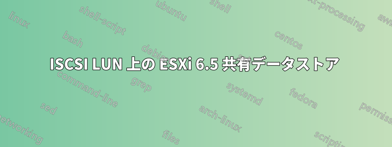 ISCSI LUN 上の ESXi 6.5 共有データストア