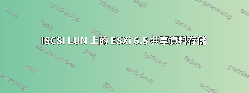 ISCSI LUN 上的 ESXi 6.5 共享資料存儲