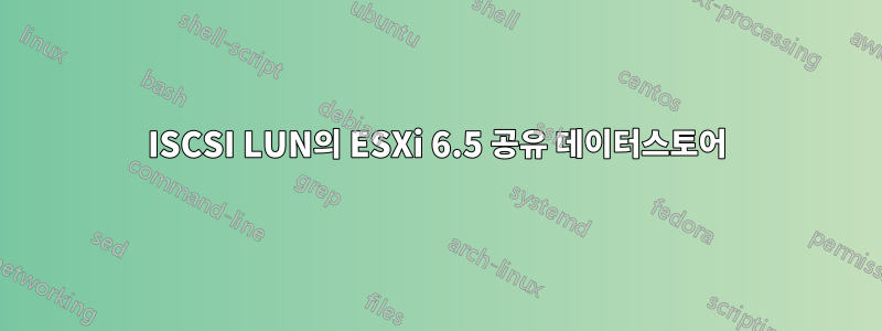 ISCSI LUN의 ESXi 6.5 공유 데이터스토어