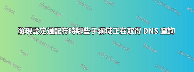 發現設定通配符時哪些子網域正在取得 DNS 查詢