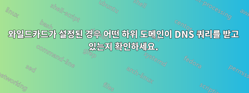 와일드카드가 설정된 경우 어떤 하위 도메인이 DNS 쿼리를 받고 있는지 확인하세요.