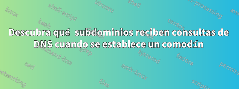 Descubra qué subdominios reciben consultas de DNS cuando se establece un comodín