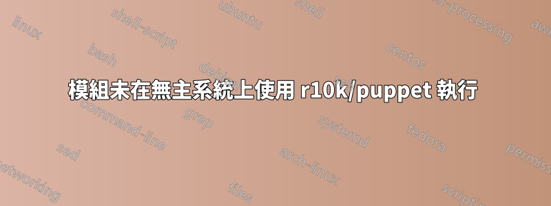 模組未在無主系統上使用 r10k/puppet 執行