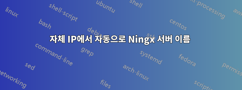 자체 IP에서 자동으로 Ningx 서버 이름