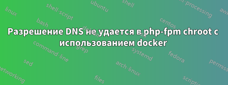 Разрешение DNS не удается в php-fpm chroot с использованием docker