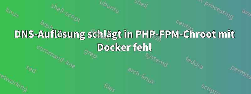 DNS-Auflösung schlägt in PHP-FPM-Chroot mit Docker fehl