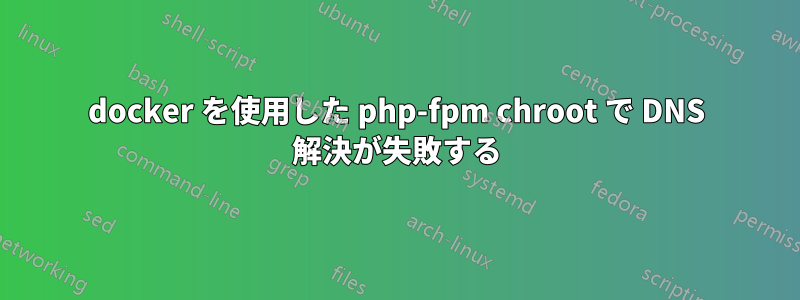 docker を使用した php-fpm chroot で DNS 解決が失敗する