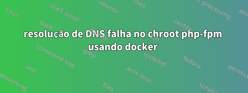 resolução de DNS falha no chroot php-fpm usando docker