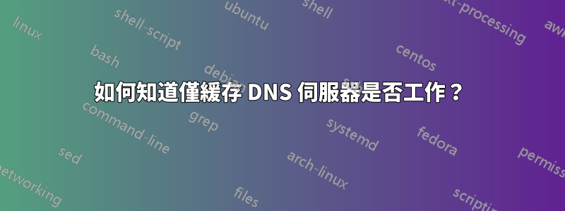 如何知道僅緩存 DNS 伺服器是否工作？