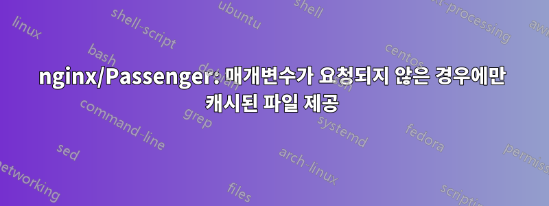 nginx/Passenger: 매개변수가 요청되지 않은 경우에만 캐시된 파일 제공