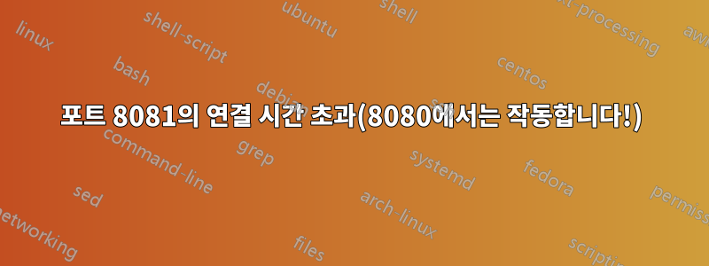 포트 8081의 연결 시간 초과(8080에서는 작동합니다!)