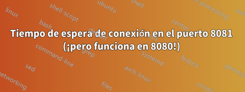 Tiempo de espera de conexión en el puerto 8081 (¡pero funciona en 8080!)