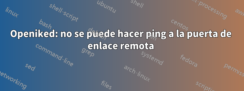 Openiked: no se puede hacer ping a la puerta de enlace remota