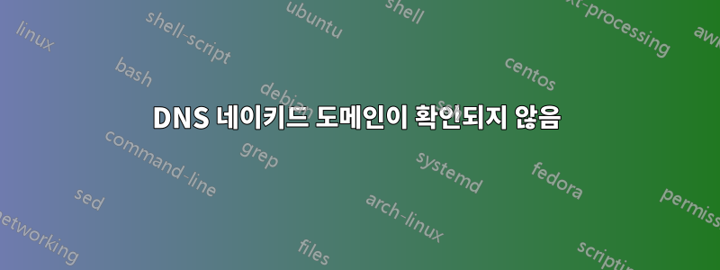 DNS 네이키드 도메인이 확인되지 않음