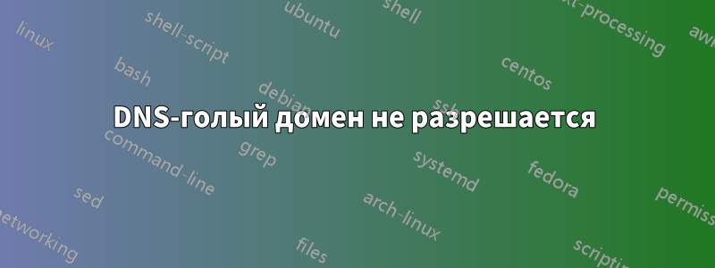 DNS-голый домен не разрешается