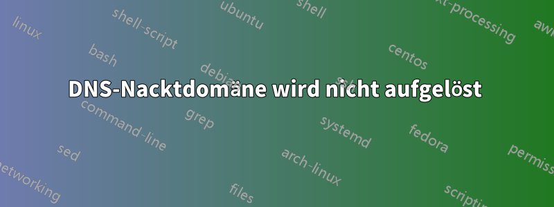 DNS-Nacktdomäne wird nicht aufgelöst