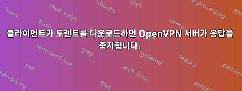 클라이언트가 토렌트를 다운로드하면 OpenVPN 서버가 응답을 중지합니다.