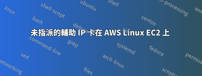 未指派的輔助 IP 卡在 AWS Linux EC2 上