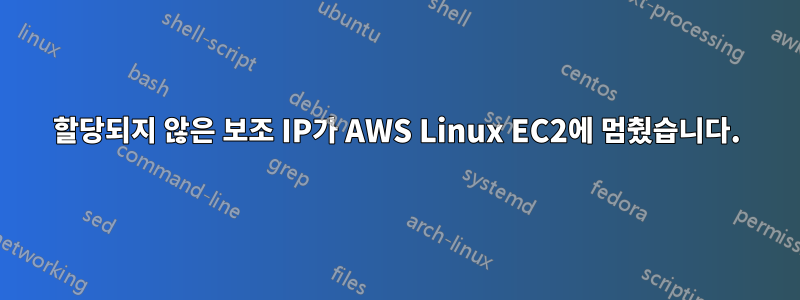 할당되지 않은 보조 IP가 AWS Linux EC2에 멈췄습니다.