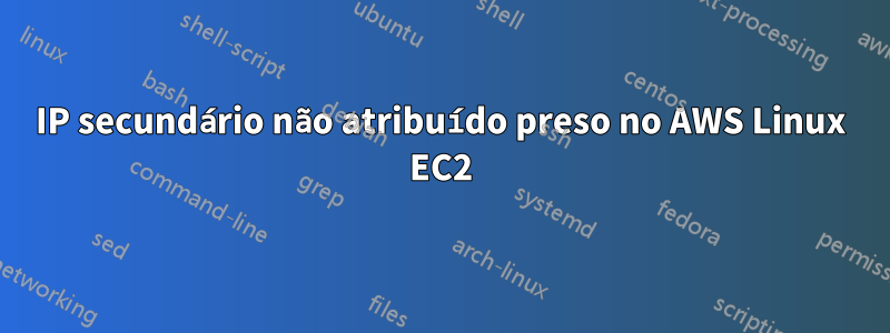 IP secundário não atribuído preso no AWS Linux EC2