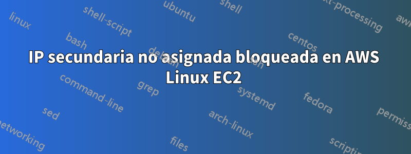 IP secundaria no asignada bloqueada en AWS Linux EC2