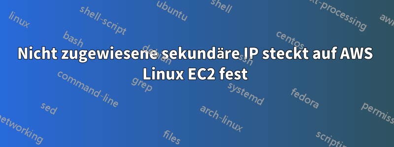 Nicht zugewiesene sekundäre IP steckt auf AWS Linux EC2 fest