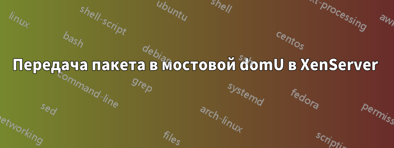 Передача пакета в мостовой domU в XenServer