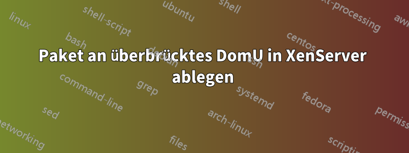 Paket an überbrücktes DomU in XenServer ablegen