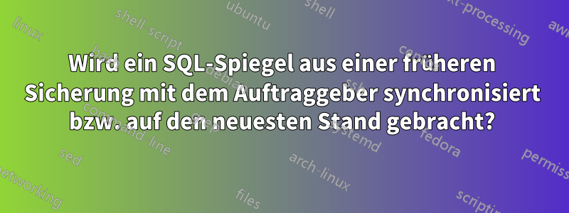 Wird ein SQL-Spiegel aus einer früheren Sicherung mit dem Auftraggeber synchronisiert bzw. auf den neuesten Stand gebracht?