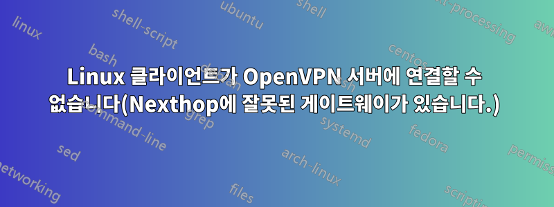 Linux 클라이언트가 OpenVPN 서버에 연결할 수 없습니다(Nexthop에 잘못된 게이트웨이가 있습니다.)