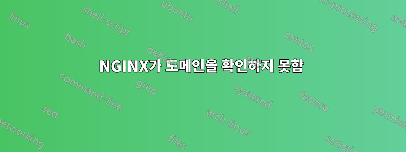 NGINX가 도메인을 확인하지 못함