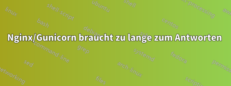 Nginx/Gunicorn braucht zu lange zum Antworten