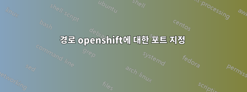 경로 openshift에 대한 포트 지정