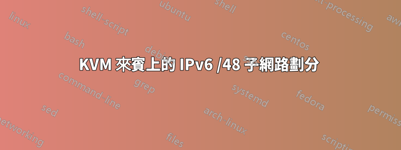 KVM 來賓上的 IPv6 /48 子網路劃分