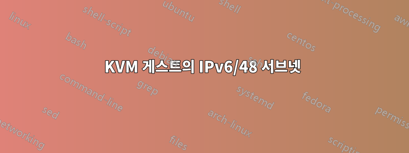 KVM 게스트의 IPv6/48 서브넷