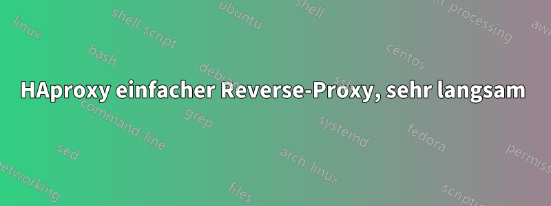 HAproxy einfacher Reverse-Proxy, sehr langsam