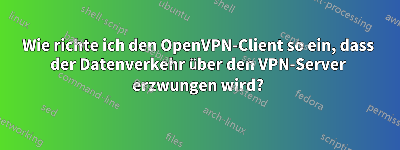 Wie richte ich den OpenVPN-Client so ein, dass der Datenverkehr über den VPN-Server erzwungen wird?